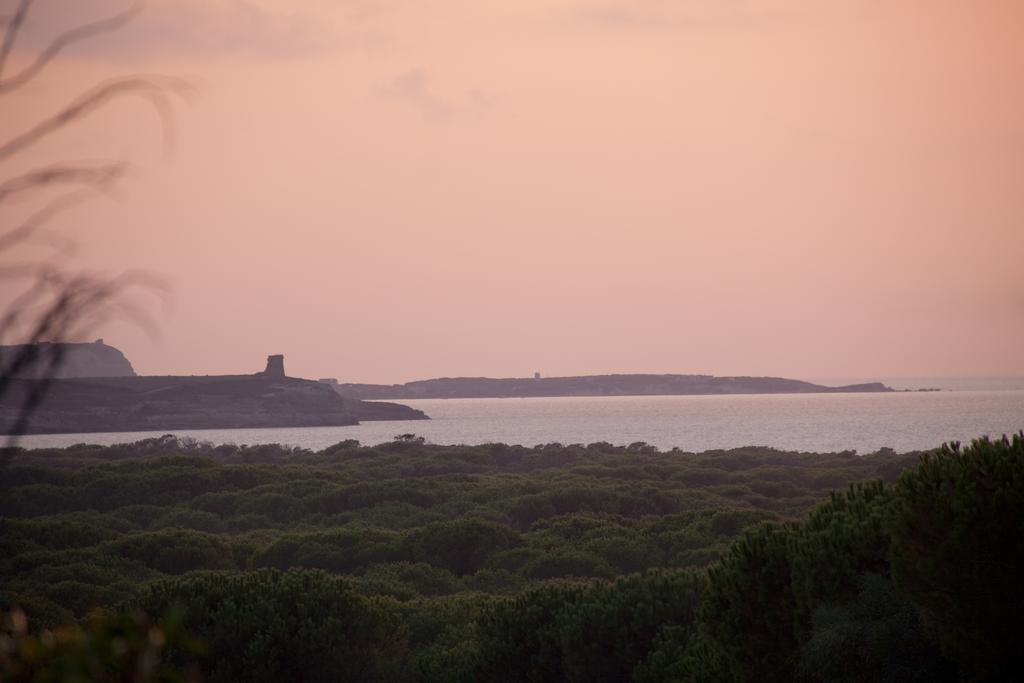 Is Arenas Resort Narbolia Buitenkant foto